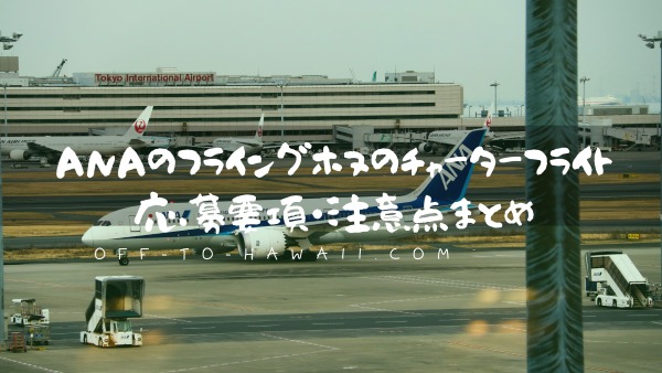 フライト フライング ホヌ チャーター